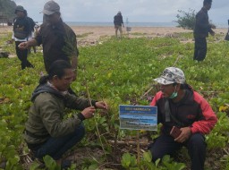 Budayawan Tanam Pohon. Bentuk Hubungan Alam dan Kebudayaan