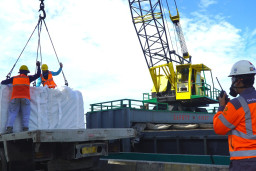 SIG Raih Profitabilitas di Tengah Tantangan Industri di 2025