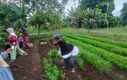 Perempuan Desa Perkuat Ketahanan Pangan Keluarga. Ini Harapan Menteri PPPA