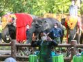 Gowes To Zoo, Wali Kota Ajak Masyarakat Jadi OTAS