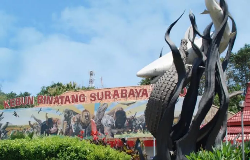 DPRD Surabaya Dukung Kajian Hutan Mangrove KBS