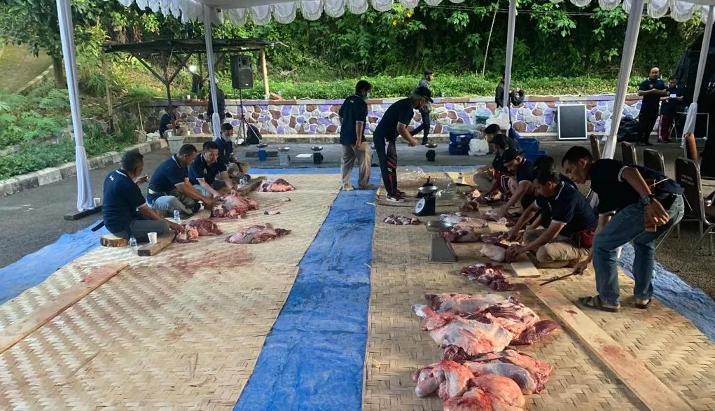 Serdik Sespimmen 62 Sembelih 67 Ekor Sapi dan Kambing