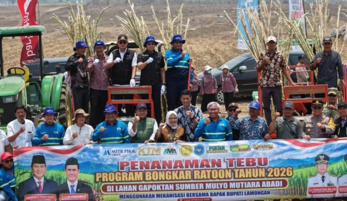 Lamongan Mulai Penanaman Perdana Bongkar Ratoon 2026